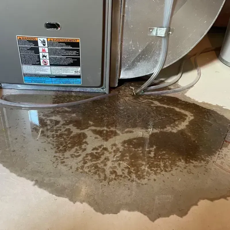 Appliance Leak Cleanup in Grand Haven, MI